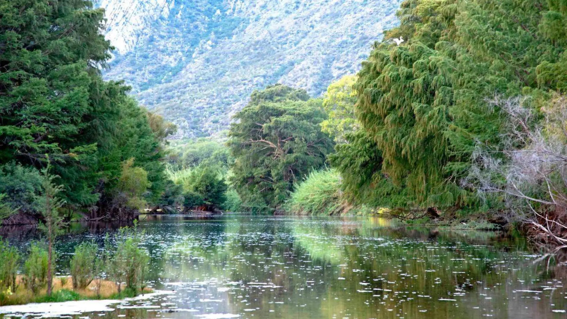 Parque Estatal Cañón de Fernández 